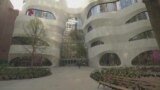 Arsitektur Eksperiensial dan Teknologi Interaktif di Museum Alam New York
