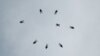 16x9 Image
