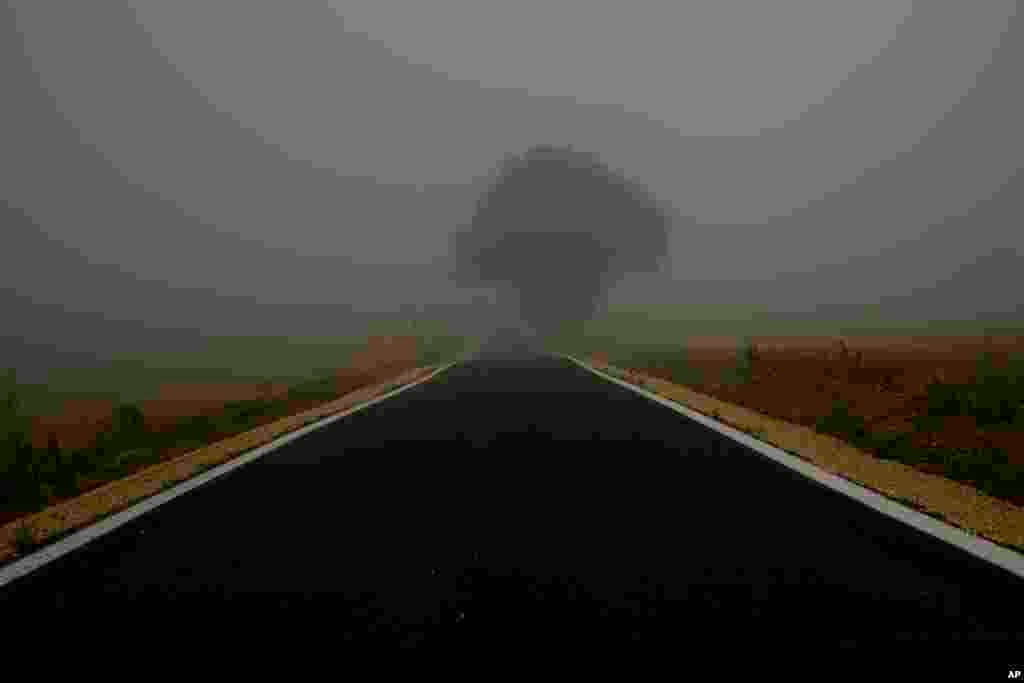 Fog covers the landscape near Trevino, Spain. 