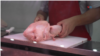 Argentina: Menos asado y más pollo en el país de las vacas