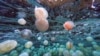 16x9 Image