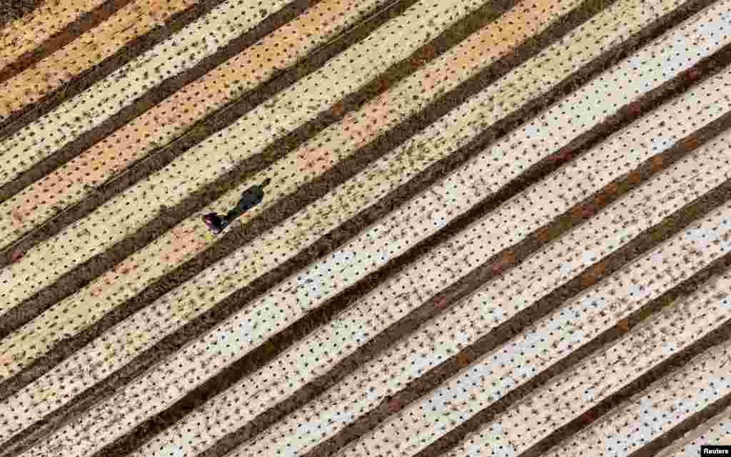 A drone view shows Adan Junior Bonetti Tardetti walking through his and his father's lettuce plantation destroyed by the floods in Guaiba, Rio Grande do Sul state, Brazil, May 9, 2024.