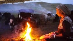 འཛམ་གླིང་ཁོར་ཡུག་ཉིན་མོ་དང་བསྟུན་བོད་ཀྱི་འབྲོག་པ་ཞེས་པའི་གློག་བརྙན་གཟིགས་འབུལ།