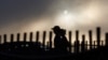 Calor récord de enero corona racha mundial de 12 meses con temperaturas por encima de era preindustrial
