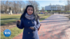 White House Live
