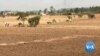 “እኛ የምንፈልገው ሰላም ነው” የትግራይ አርሶአደሮች 