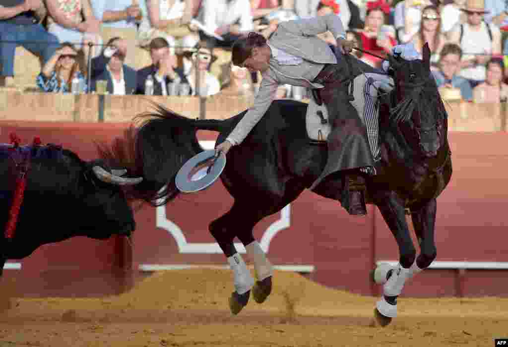 French "rejoneadora" (mounted bullfighter) Lea Vicens rides her horse in front of a bull during the Feria de Abril bullfighting festival at La Maestranza bullring in Seville, May 1, 2022.