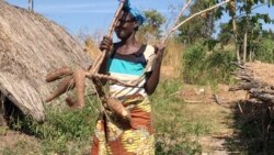 Mulheres moçambicanas devem ter acesso à terra, exigem activistas