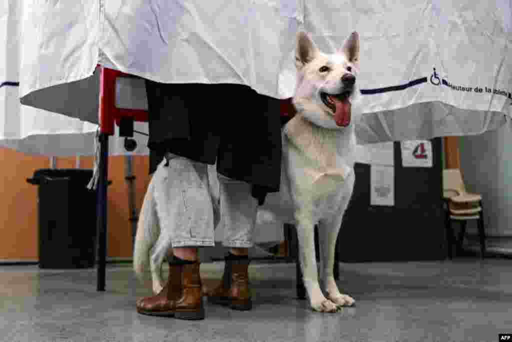 A voter with her dog cast her ballot in a voting booth for the first round of French presidential election at a polling station in Marseille, southern France, April 10, 2022.