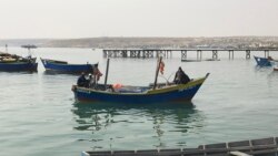 Emissão Vespertina 30 Agosto 2023: Governo angolano tem que fazer mais para combater "tubarões" da pesca 