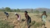 Angola agricultura camponeses 