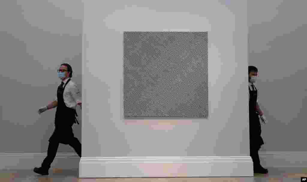 영국 런던 '소더비' 경매장에 브리젯 라일리의 작품 '대각선형 곡선(Diagonal Curve)'이 전시됐다. 예상 경매가는 미화 710만~970만 달러다.
