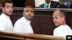 Các nhà báo của hãng tin Al Jazeera gồm công dân Australia Peter Greste, công dân Ai Cập gốc Canada Mohamed Fahmy và công dân Ai Cập Baher Mohamed.