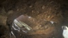 Border Tunnel Found in Arizona after 4 Migrants Caught