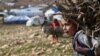 Conflict Puts 24 Million Children Out of School 