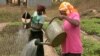Agriculture Conference Focuses on Africa-Owned Science