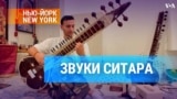 Звуки ситара