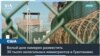 Сможет ли Гуантанамо вместить 30 тысяч мигрантов, присланных из США? 