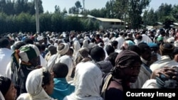 ጭና 