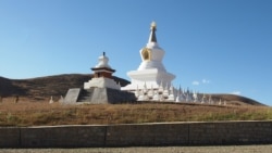 བོད་ཀྱི་འདབ་པ་རྫོང་དུ་རྡོ་ཆས་དུས་ཀྱི་ཅ་དངོས་གསར་རྙེད།