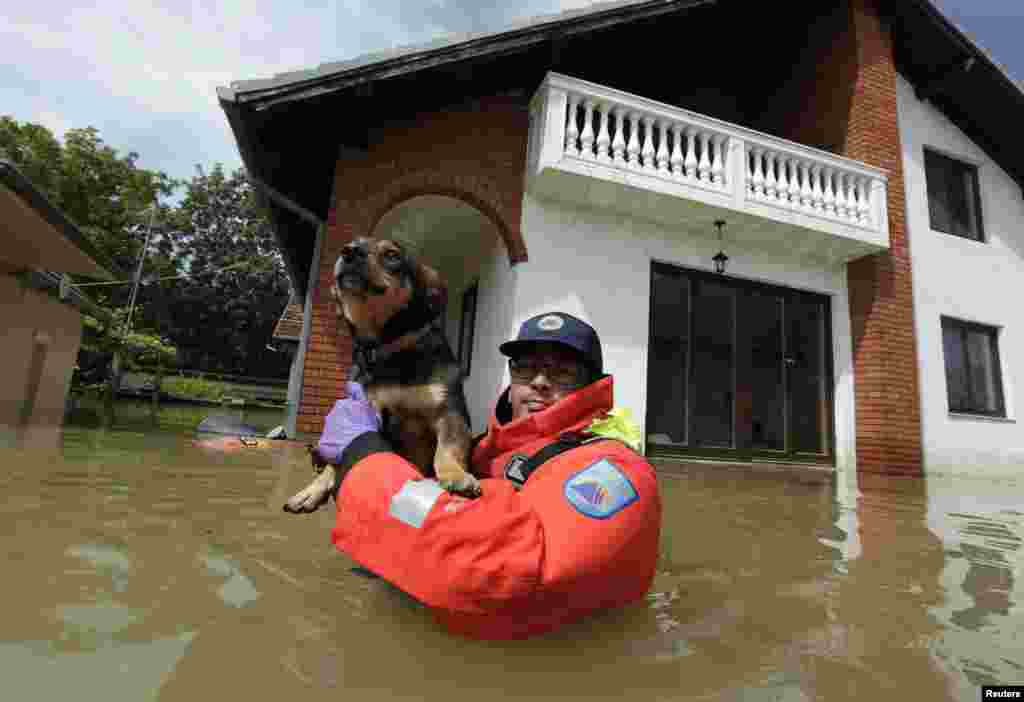 A Slovenian Civil Protection rescue worker saves a dog during heavy floods in the village of Prud, Bosnia-Herzegovina, May 20, 2014.