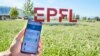 El gigante de la tecnología agregará nuevas funciones que permitirán a los viajeros informarse de restricciones en sus itinerarios.