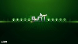 پروفیسر ڈاکٹر مسعود صادق انٹرویو