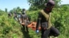 Proyek PLTA Dukungan China Ancam Habitat Orangutan Tapanuli