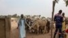 Cameroon Rejects Evidence of Forcing Civilians to Fight Boko Haram
