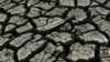 California Regulators Approve Mandatory Water Restrictions