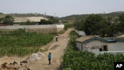 지난 2015년 북한 황해남도에서 촬영한 농가와 옥수수밭. 
