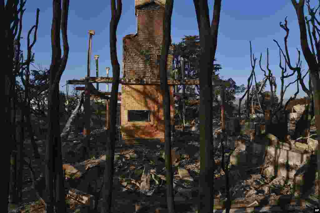 Burned trees surround a destroyed home leaving only the fireplace in Point Dume in Malibu, California, Nov. 11, 2018.