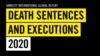 国际特赦组织发表的2020年全球死刑判决与执行报告的封面。