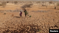 Anggota suku Turkana tampak membawa senjata ketika menunggu ternak mereka datang untuk pergi menuju sumber air di dekat Baragoy, Kenya, pada 14 Februari 2017. (Foto: Reuters/Goran Tomasevic)