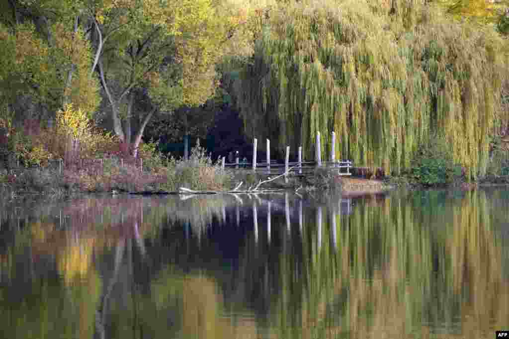Pohon-pohon dengan warna musim gugur tercermin di danau Max Eyth di Stutgart, Jerman.