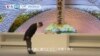VOA國際60秒(粵語): 2021年3月11日 