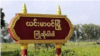 Yin Mar Bin ယင်းမာပင်