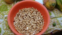 Guiné-Bissau: Terras aráveis não estão a ser aproveitadas para a produção alimentar