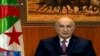 Algeria Frees First Democracy Activists after Presidential Pardons 