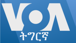 ፈነወ ትግርኛ ሰንበት