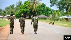 Des militaires mozambicains en patrouille, le 31 octobre 2019. (Photo: AFP/Adrien Barbier)