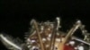 16x9 Image