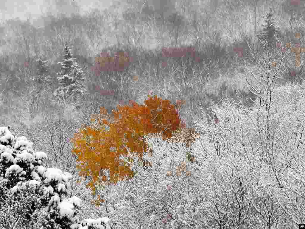 An overnight snow surrounds fall colors in Franconia Notch, New Hampshire, USA, Oct. 23, 2016.