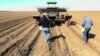 California Shifts Water Use in Face of Drought