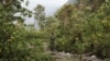 Virunga National Park Ranger Killed in DRC Ambush