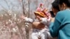北京一座公园里一对夫妇抱着婴儿赏樱。（2021年3月24日）