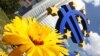 Zona Euro Keluar Dari Resesi