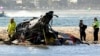 Helikopter Tentara Australia Jatuh, Latihan Militer AS-Australia Dihentikan 