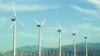 Wind Turbines Take Steep Toll on Birds, Bats 