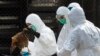 Flu Virus in China Has Pandemic Potential, Scientists Say